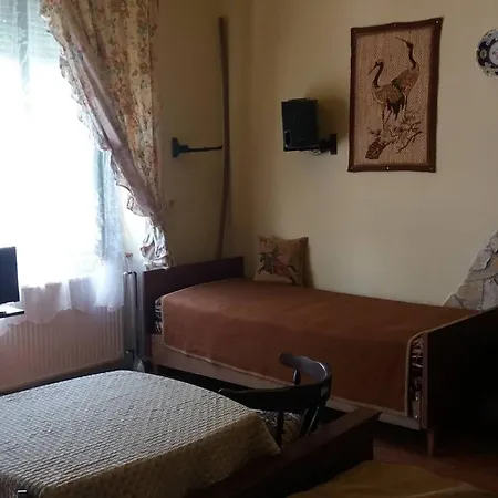 Nicolaj Vendeghaz Es Tanya Dég