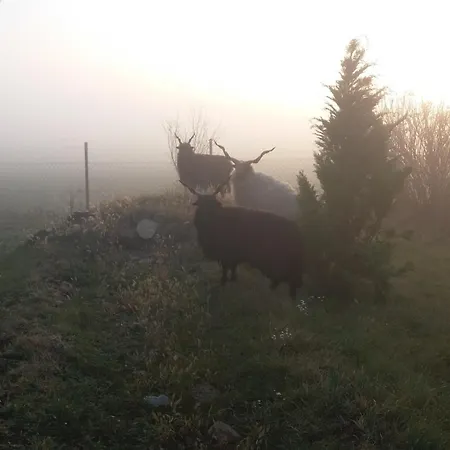 Nicolaj Vendeghaz Es Tanya بيت ضيافة Dég