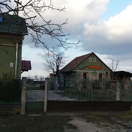 Nicolaj Vendeghaz Es Tanya Dég