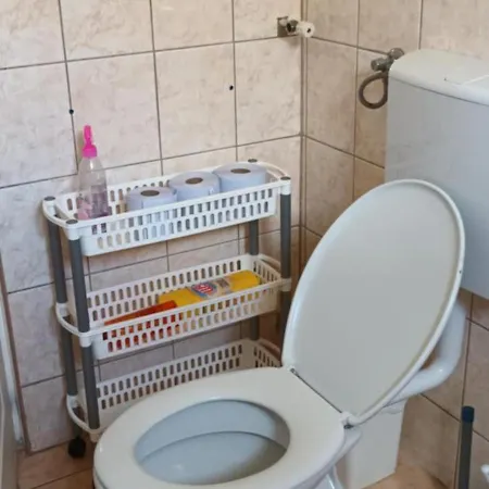 Nicolaj Vendeghaz Es Tanya Dég