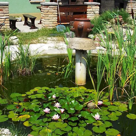 Nicolaj Vendeghaz Es Tanya بيت ضيافة Dég