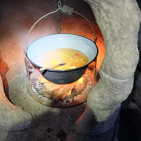 Nicolaj Vendeghaz Es Tanya * Dég