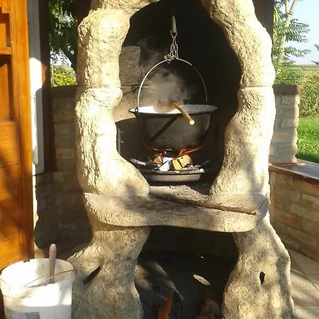 Nicolaj Vendeghaz Es Tanya * Dég